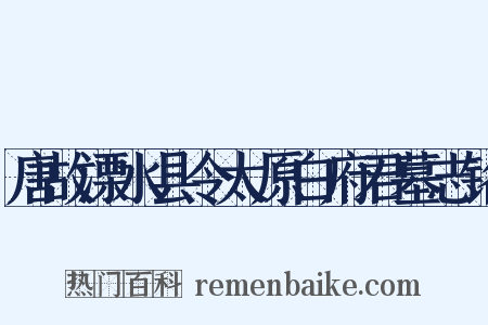唐故溧水县令太原白府君墓志铭是什么意思的图片